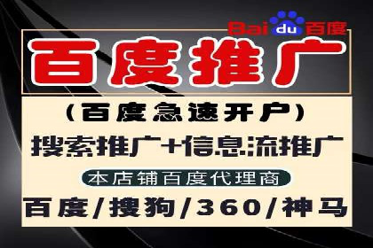 某知名企业SEM外包项目的成功经验分享